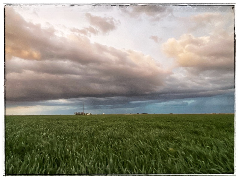 Wheat blurred by the wind with storm clouds above.