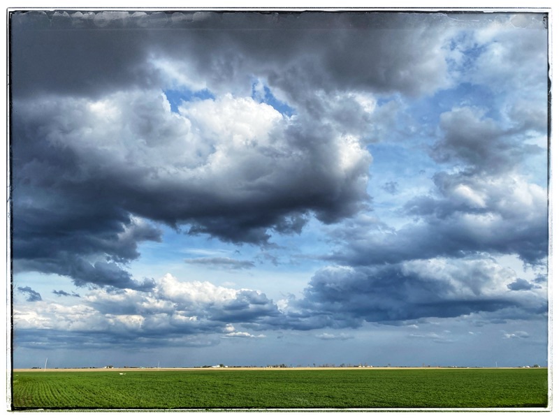 Midwest sky. Midwest clouds. Flat country. Wheat fields in the foreground. Grey and white clouds above. 
