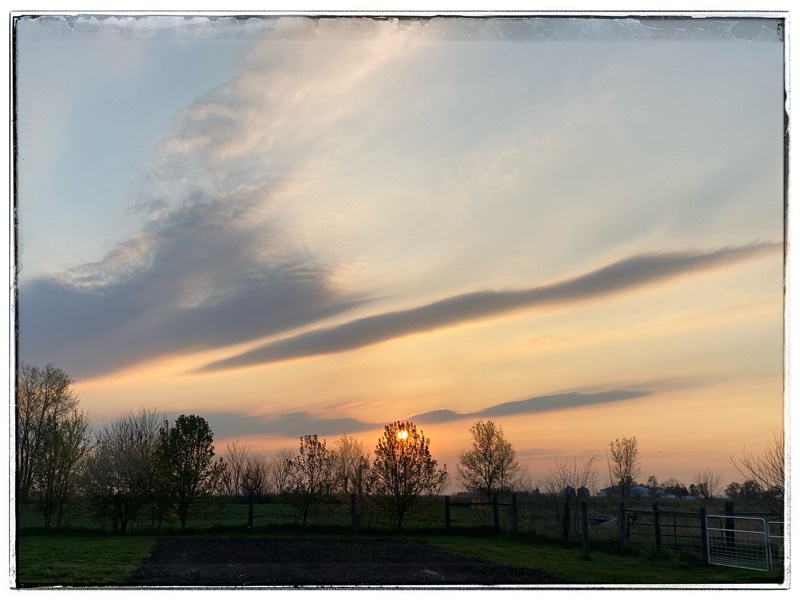 Sunset with clouds shaped like spears.