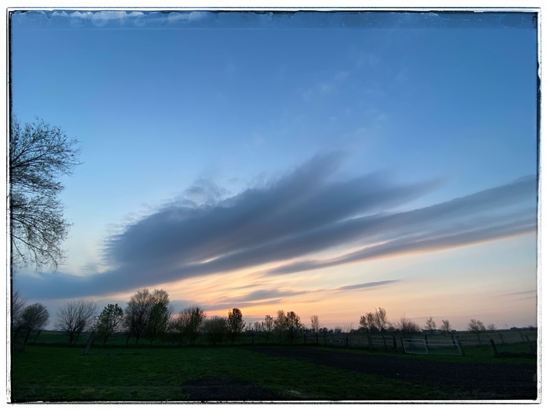The Re-Wilding of a Farm&nbsp;Field