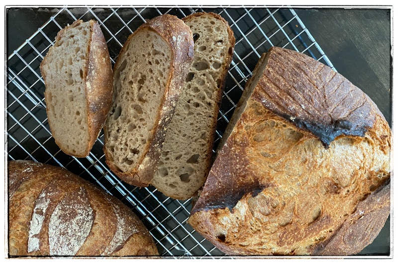Baked whole wheat stoneground bread