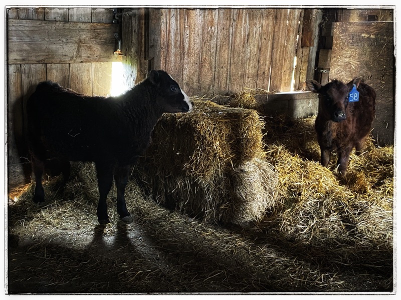 Too much for a Title with a hook. Gotta read&nbsp;it!