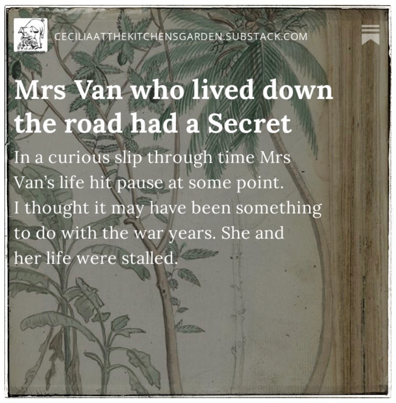 Cecilia at the kitchens garden substack 