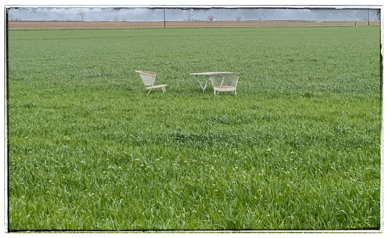 2 cast iron chairs and a table in an organic wheat field, flat horizon beyond. 