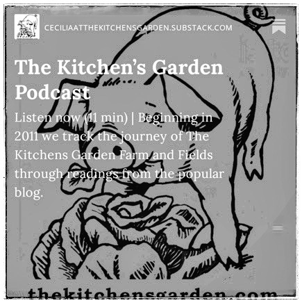 Sheila the Pig. The Kitchens Garden logo