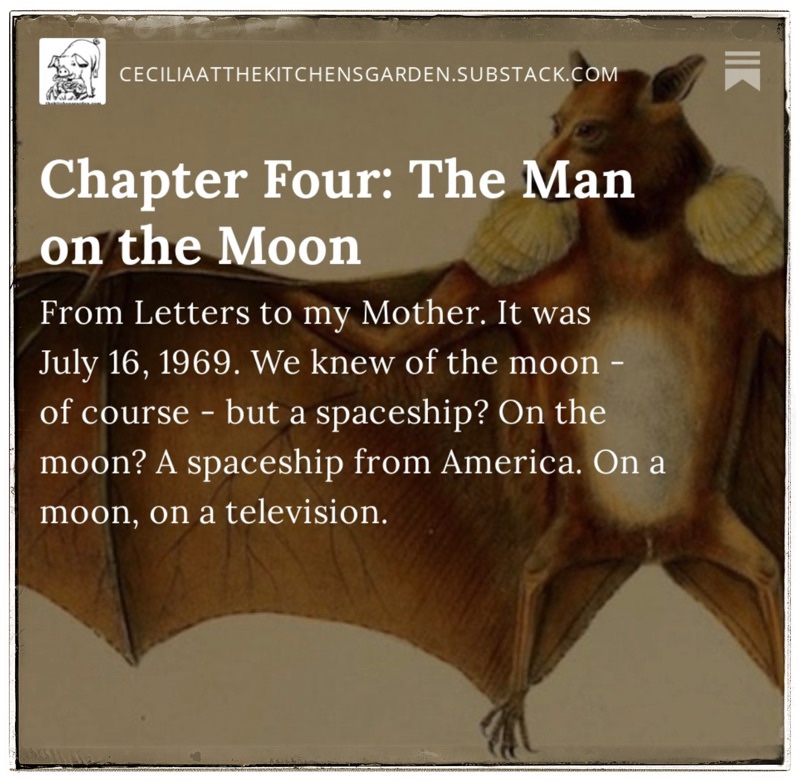 Cecilia at The Kitchens Garden Substack. Chapter four.