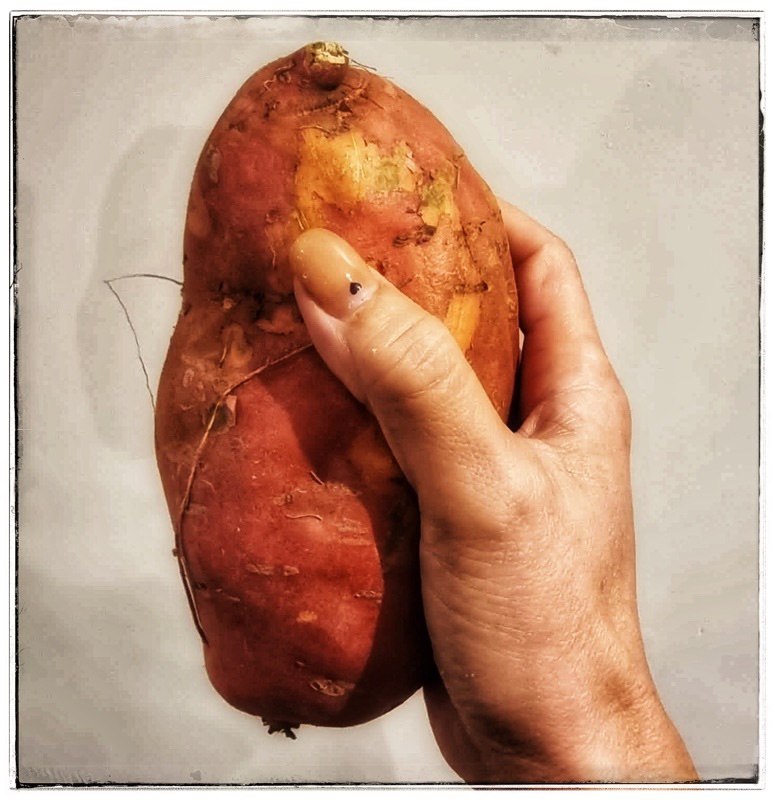 mans hand holding a sweet potato