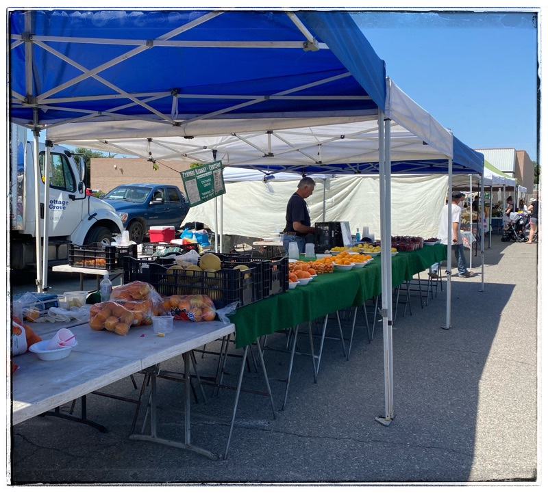 man standing at farmers market stall
