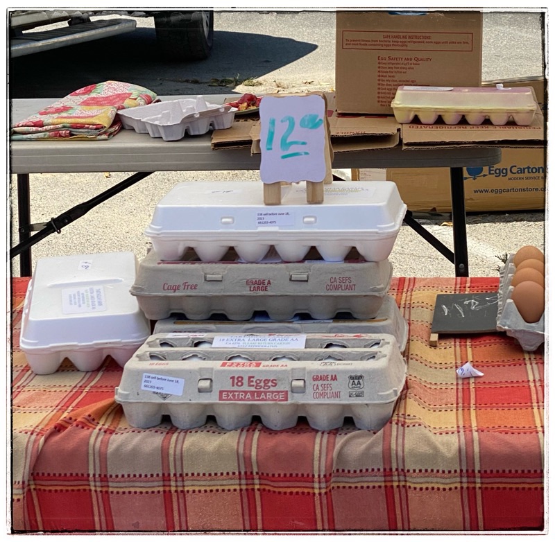 eggs for 12 dollars 18