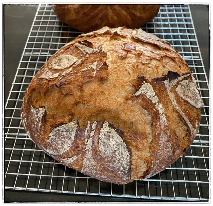 Loaf of CC's Soft Sourdough bread