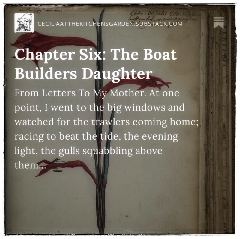the boatbuilders daughter - a story on substack