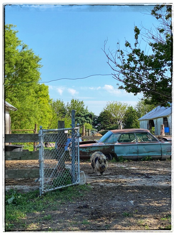Tima in concrete yards with broken down car behind