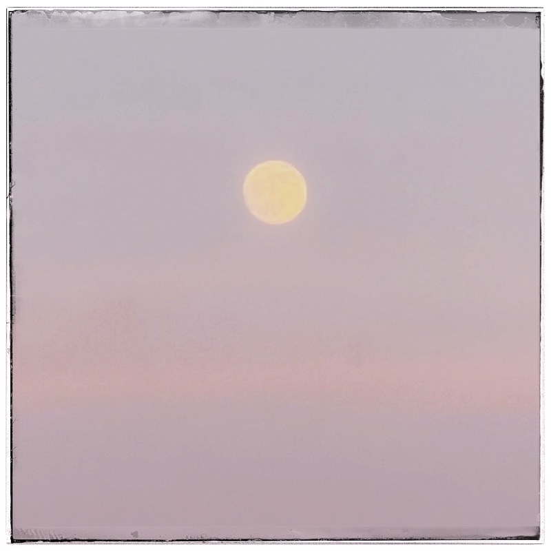 waxing moon in sunset sky