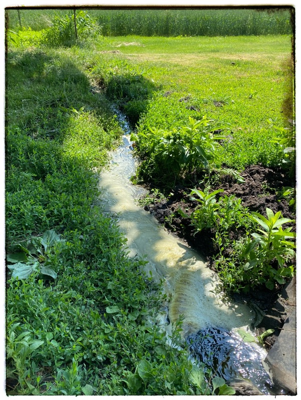 channel to run off pond