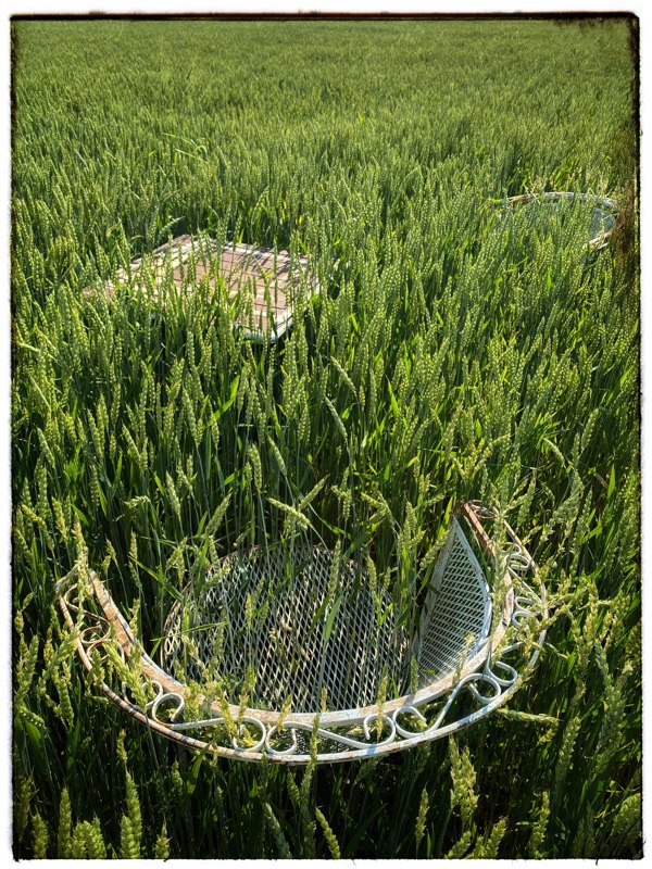 two chairs and a table in a field of wheat
