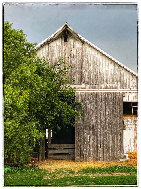 old barn