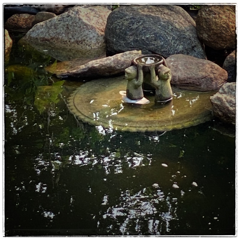old bird bath set into pond for frogs