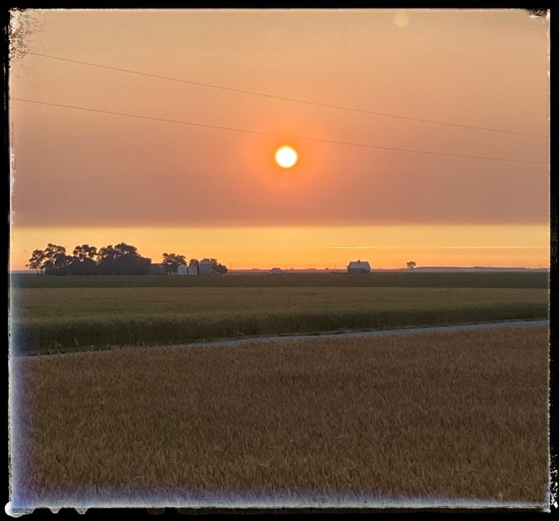 sunrise into the gloom, across wheat fields. 