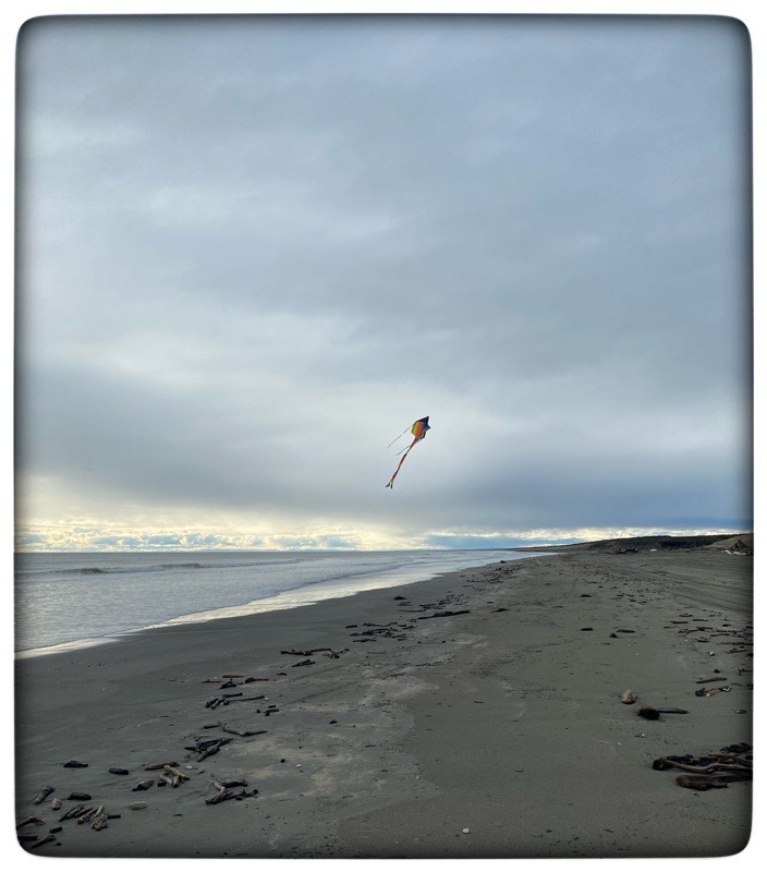 kite in the air above the beach