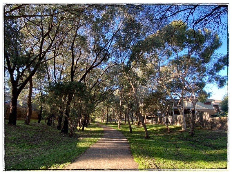 KitKat and Kikuya in the Garden