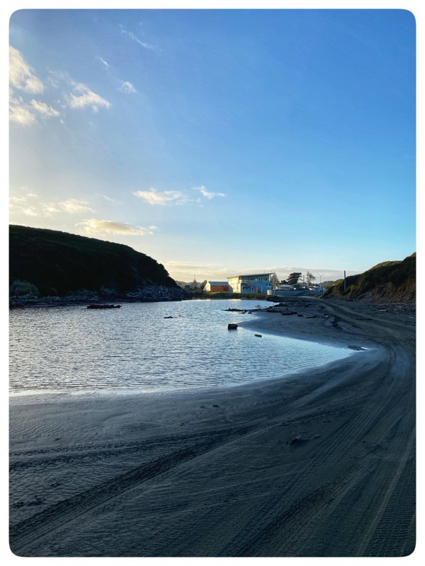 surf life saving club from across the lagoon