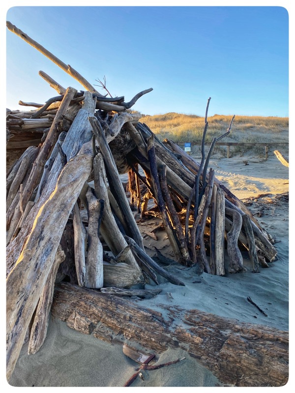 driftwood sculpture on a beach
