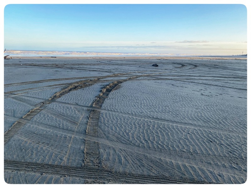 tire tracks in the beach sand