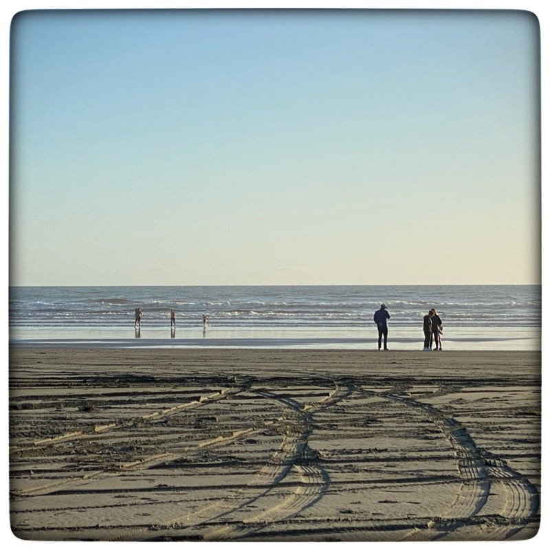people at the sea shore. 