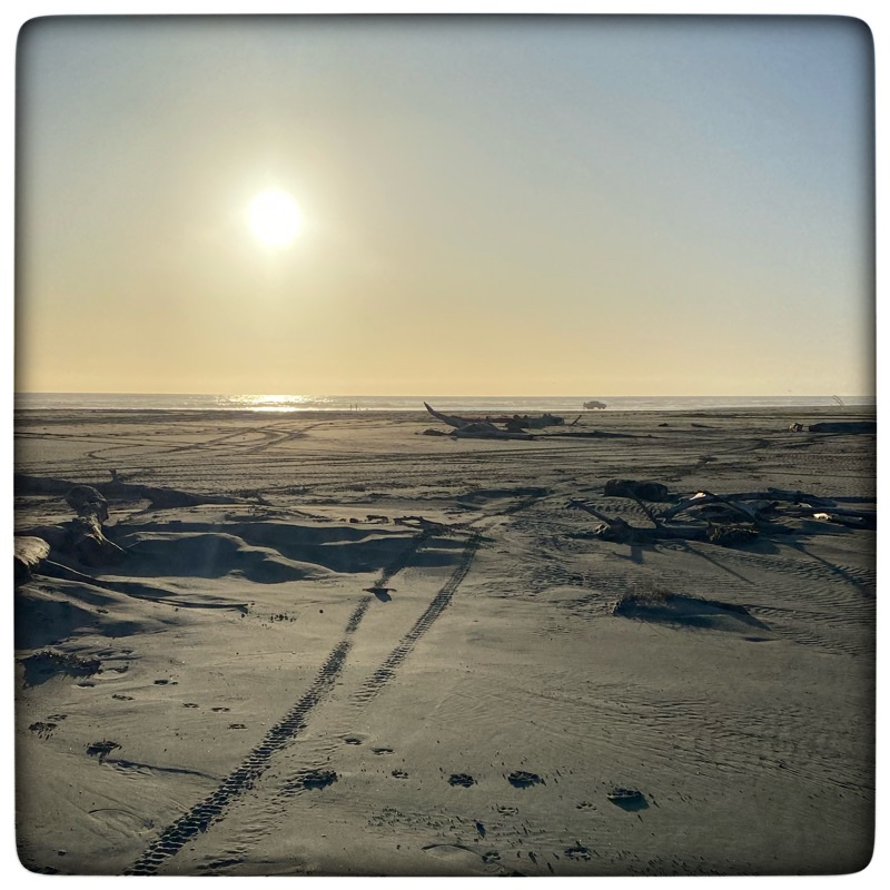 sun setting on sandy beach with driftwood in the foreground