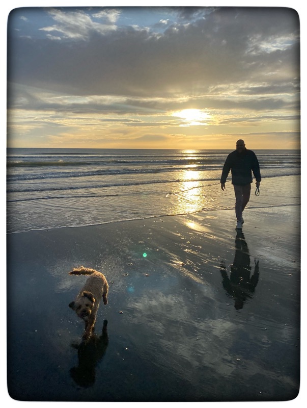 man and dog on beach