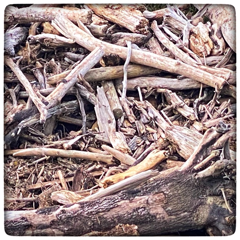 driftwood