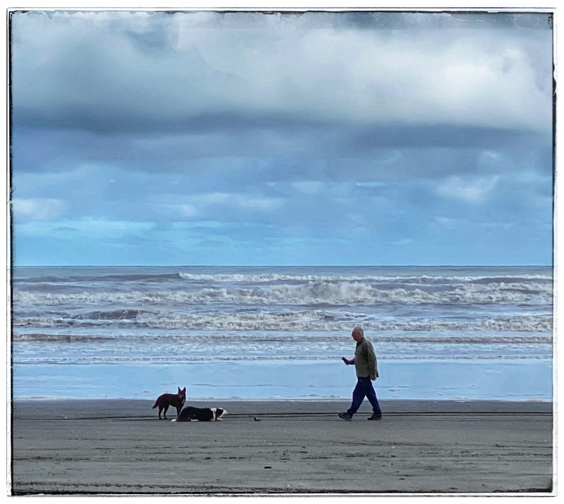 man and two dogs on the beach
