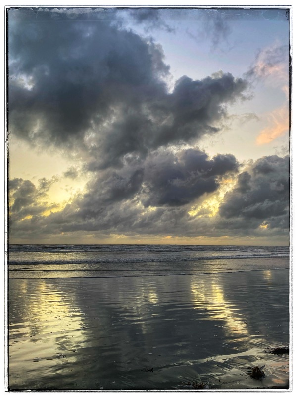 sea shore in the sunset light