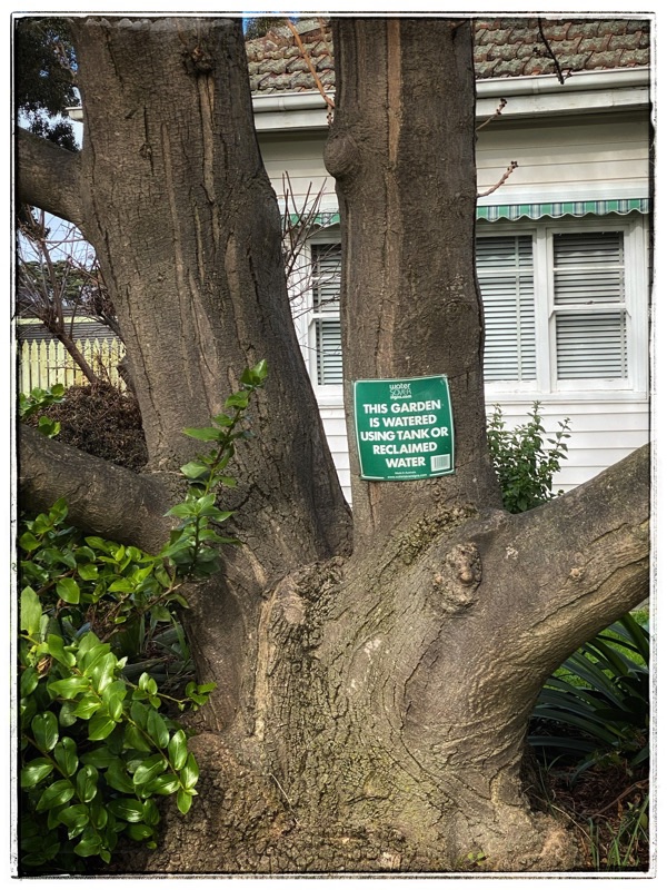 rainwater garden sign