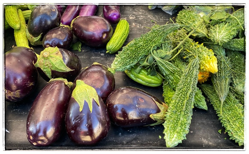 vegetables, aubergine and bitter melon