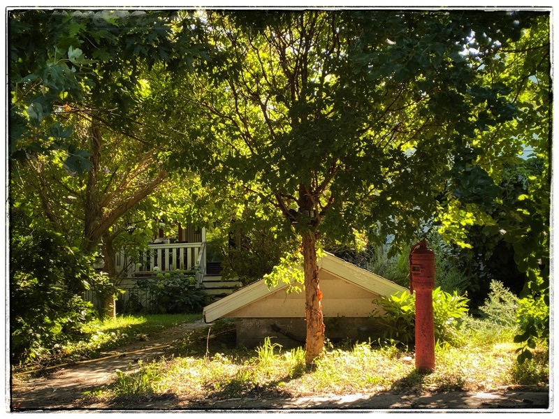 ffarm ront porch and well house - overgrown