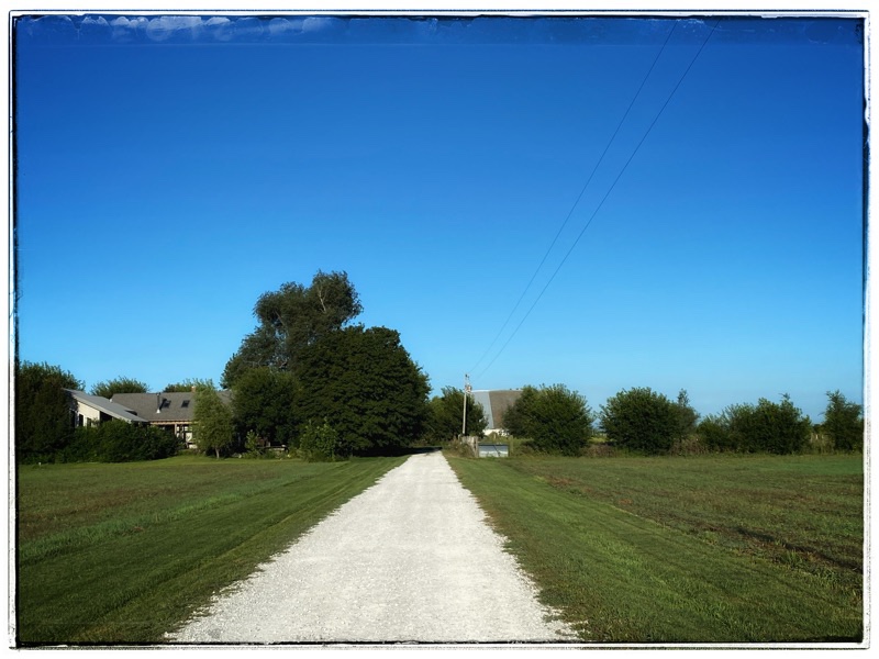 farm at the end of the lane