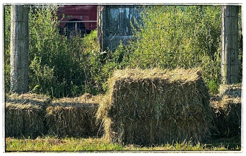 Labor Day Cooking – The Kitchen's Garden