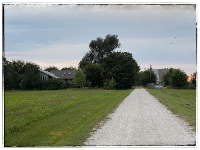 driveway into the farm