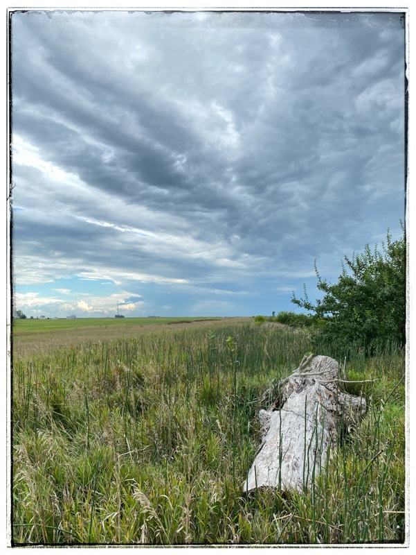 clouds thickening above field and old log