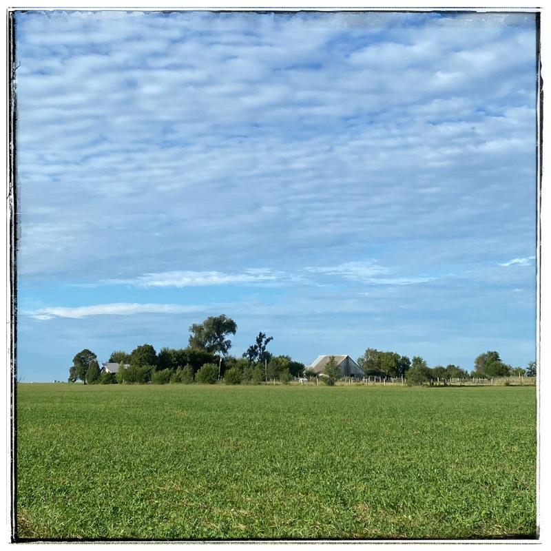farmhouse and barn hidden in trees across fields of green