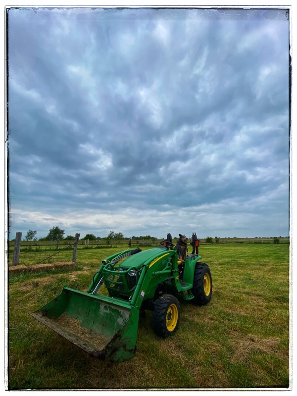 tractor and dog in field with cloudy sky behind