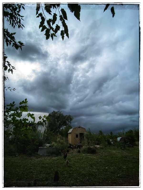 middle farm field with dark clouds above 