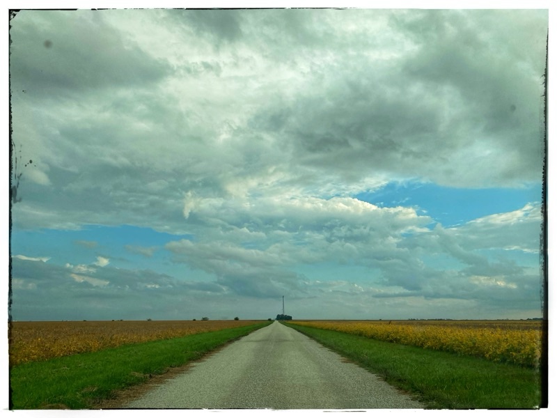 straight country road between fall crops