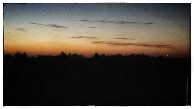 Who Checked on You&nbsp;Today?