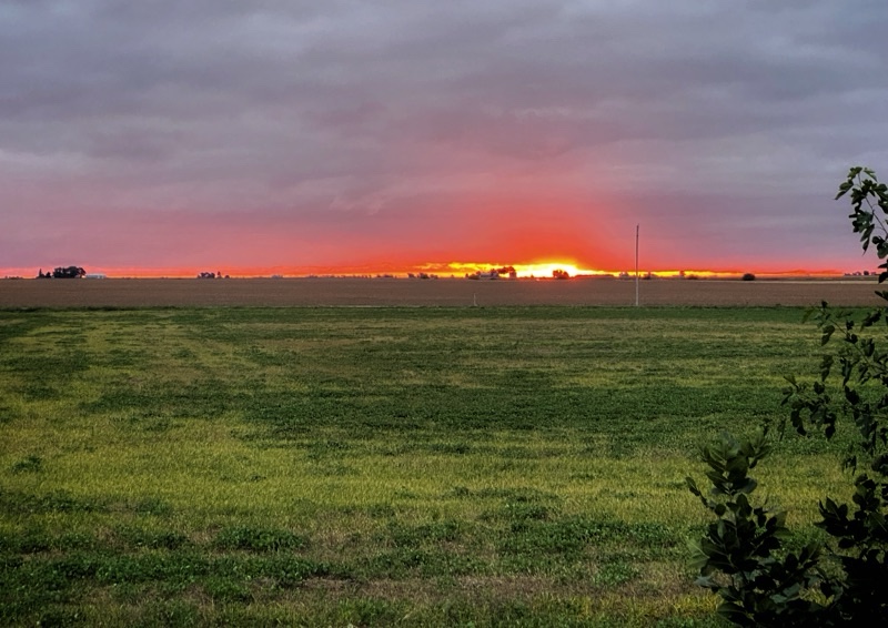 The Middle of the&nbsp;Night