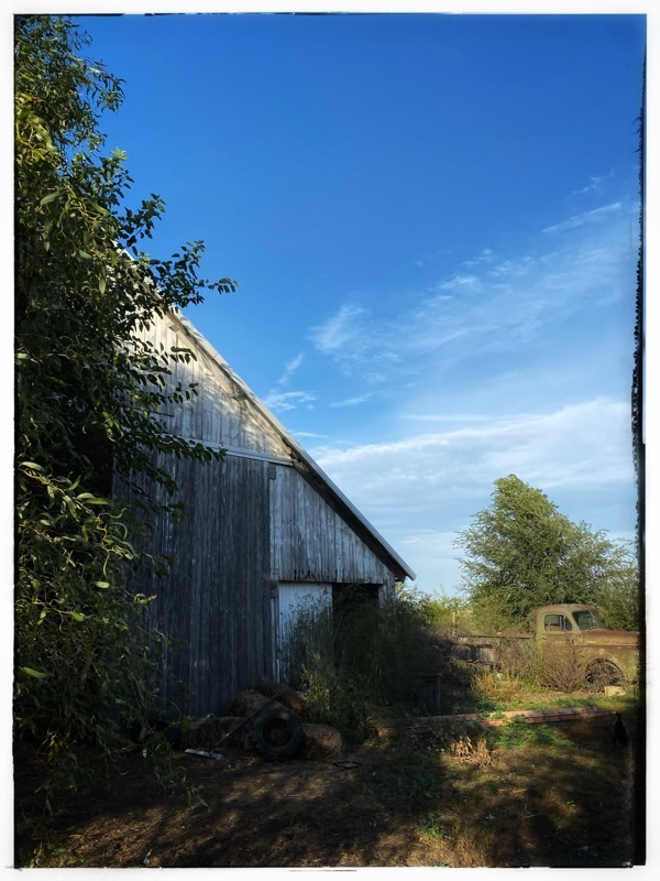 Old green truck beside old barn 