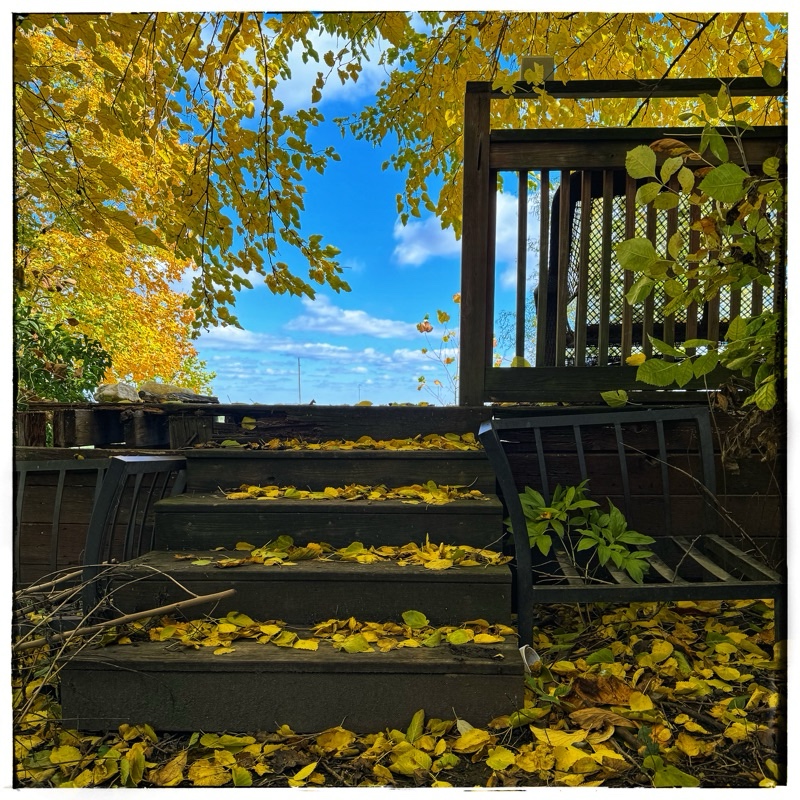 Autumn leaves on wooden deck steps leading to sky 