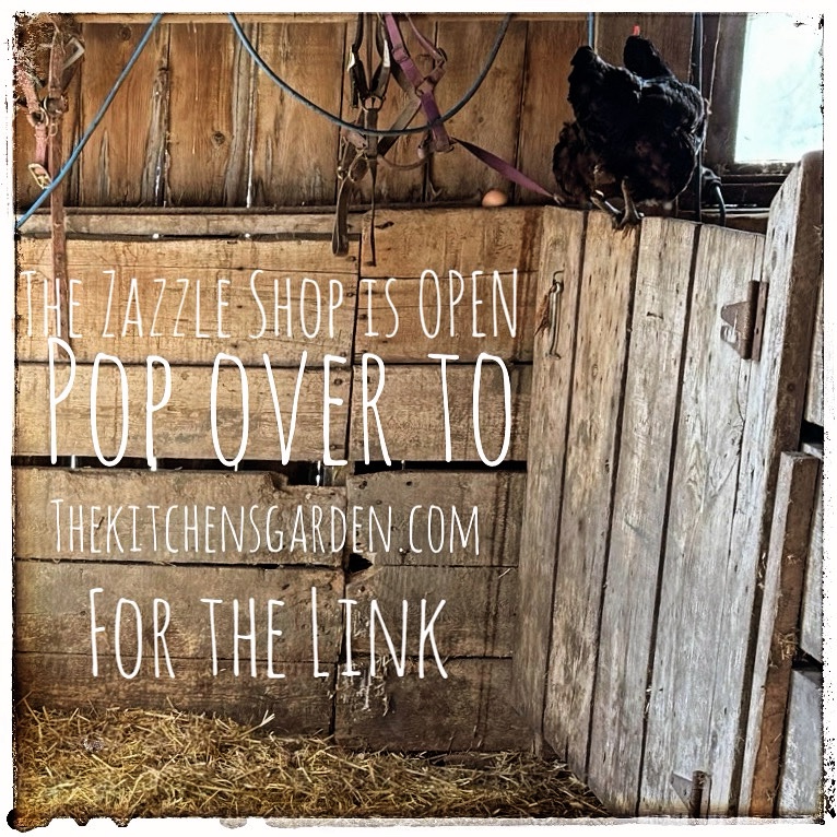 Shop is open marketing words on bar, Nate with Chicken standing on top ￼