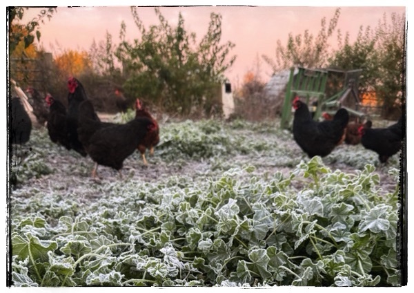 What is different about you&nbsp;today?